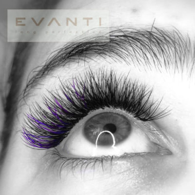 evanti_galerie_rasy3